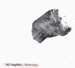 L_V10e1515 A06q594.1 x x.jpg